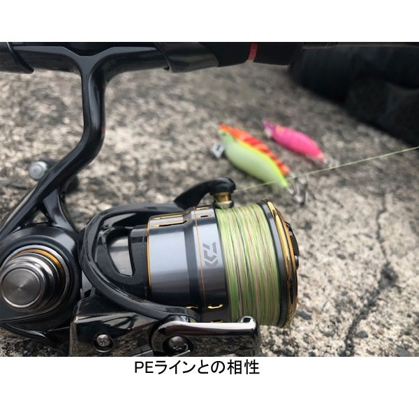 ソルティメイト エギリーダーBS